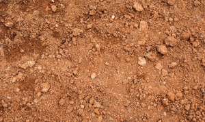 Clay Soil