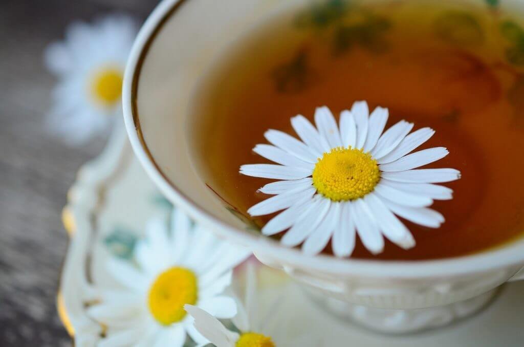 Medicinal Plants - Chamomile Tea