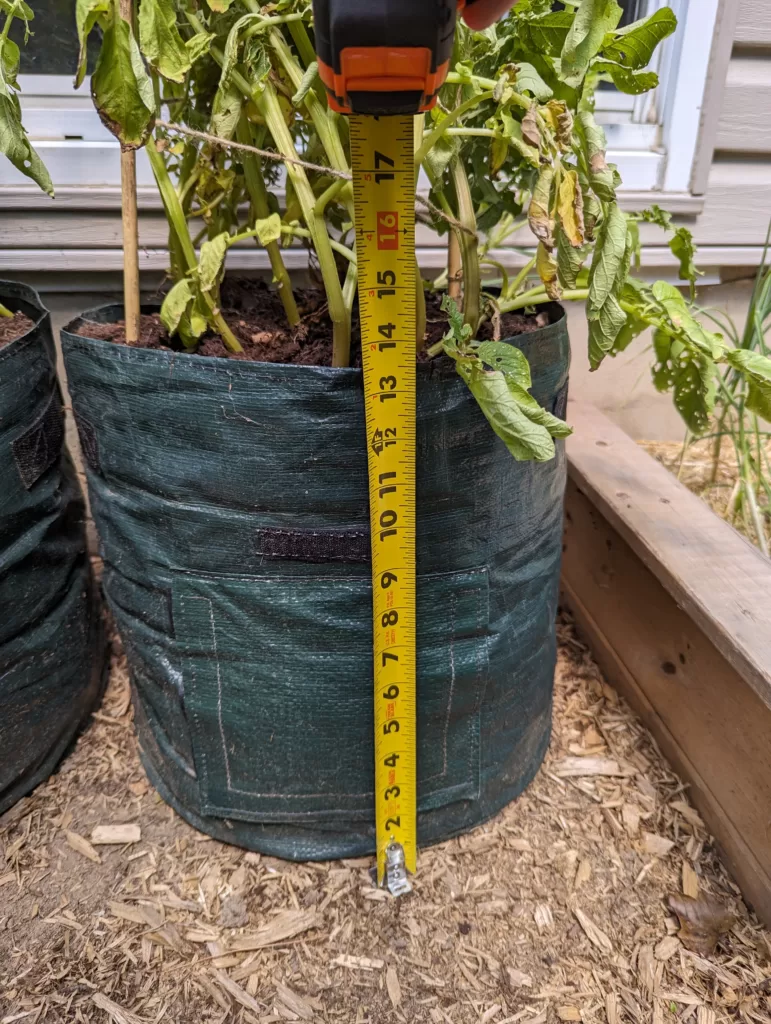 Grow Bag Height