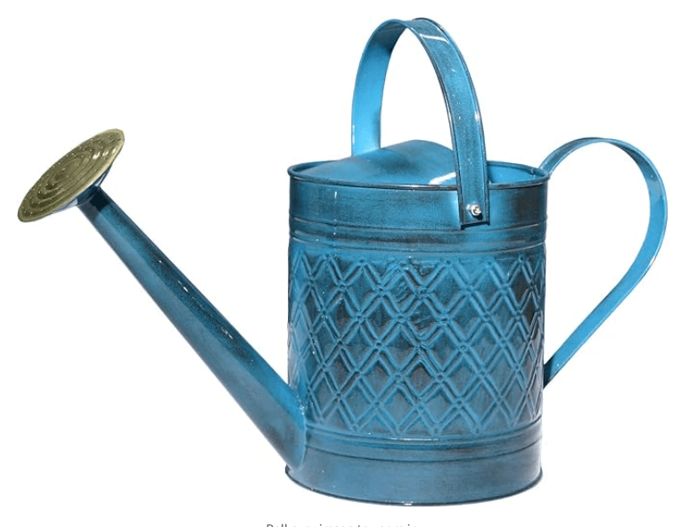 Watering Can