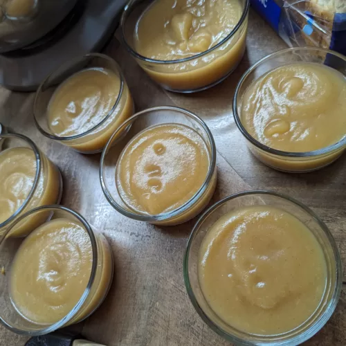 Homemade Applesauce