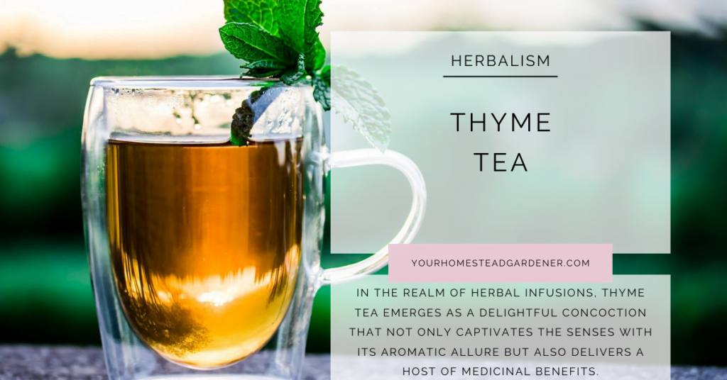 Thyme Tea