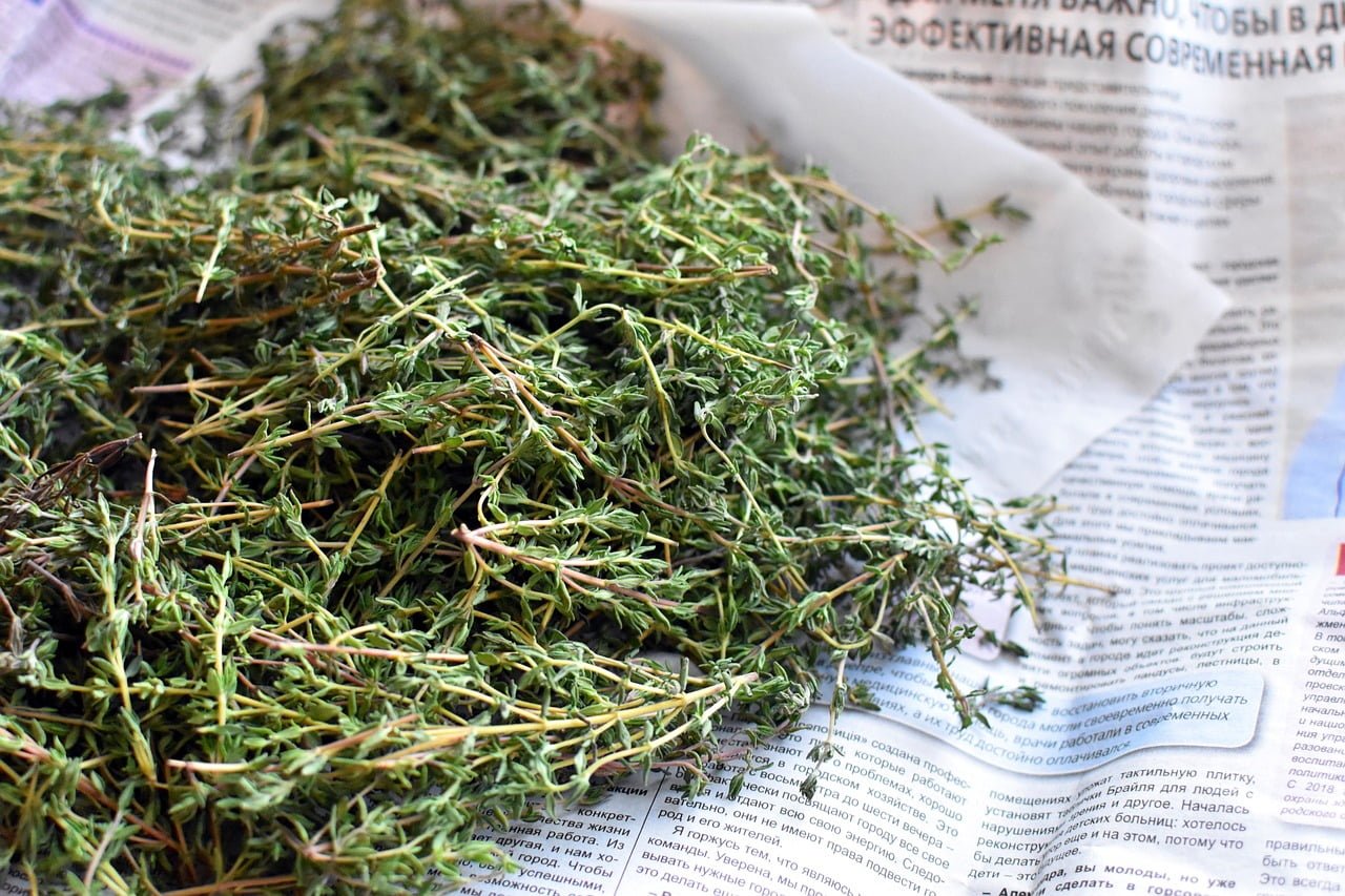 Thyme