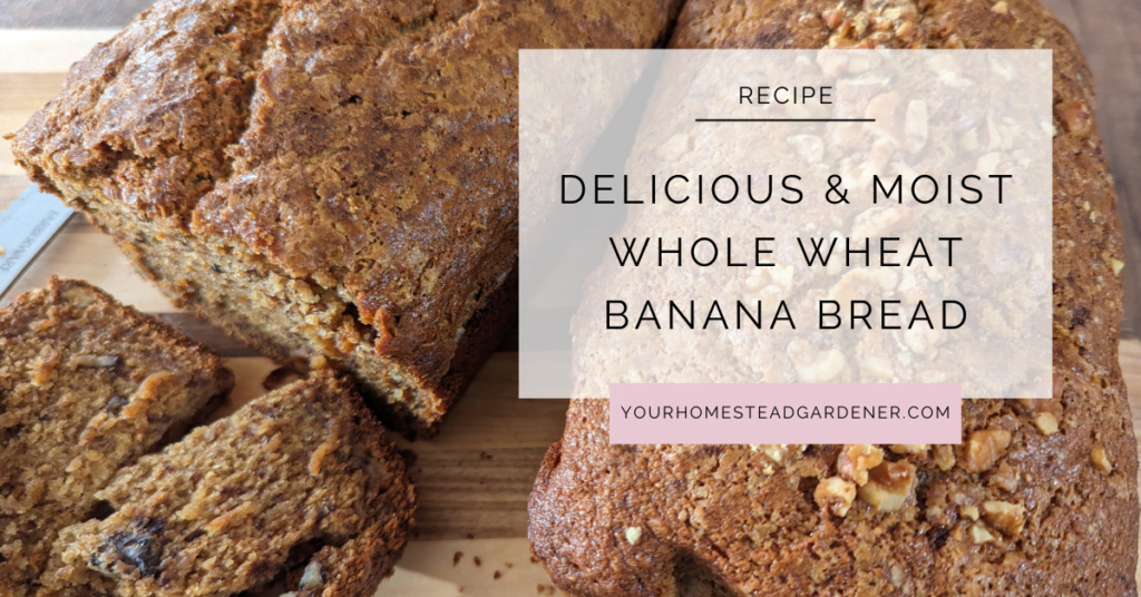 Banana Bread