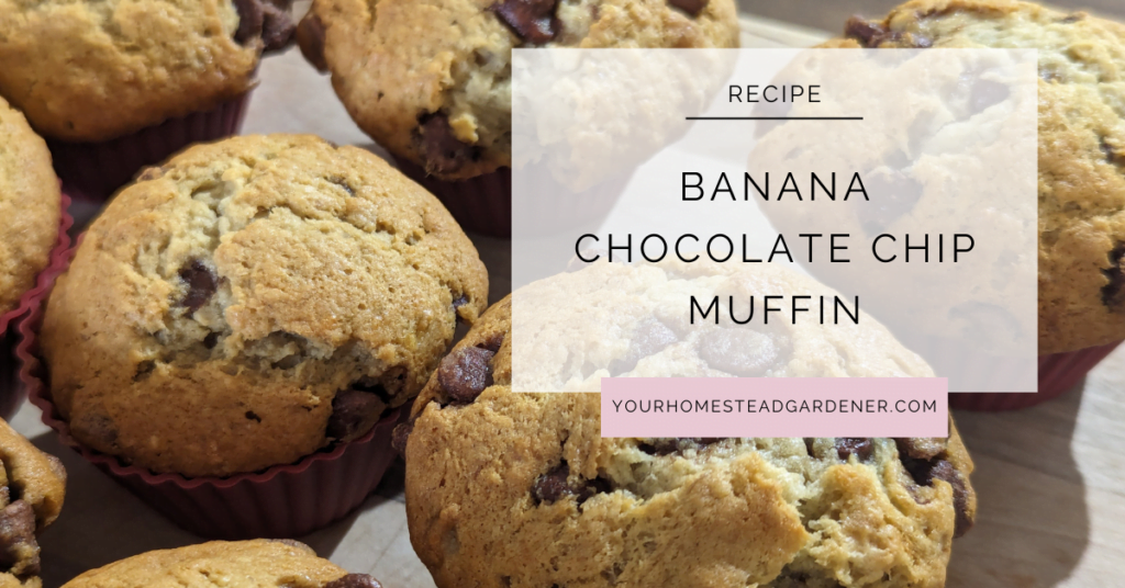 Banana Chocolate Chip Muffins