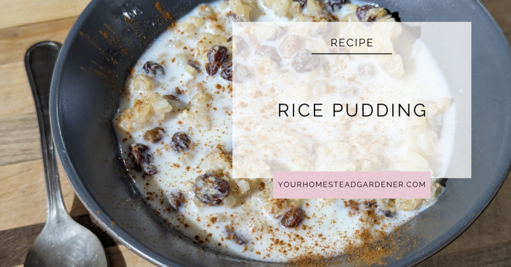 Rice Pudding