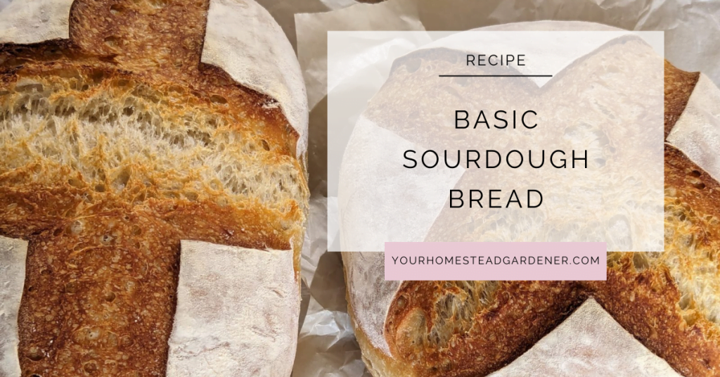 Basic Sourdough Bread Recipe