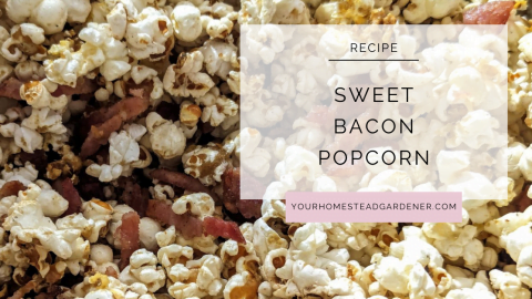 Sweet Bacon Popcorn