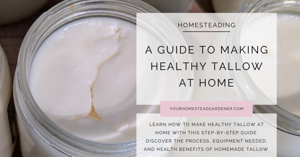 How to make healthy tallow at home