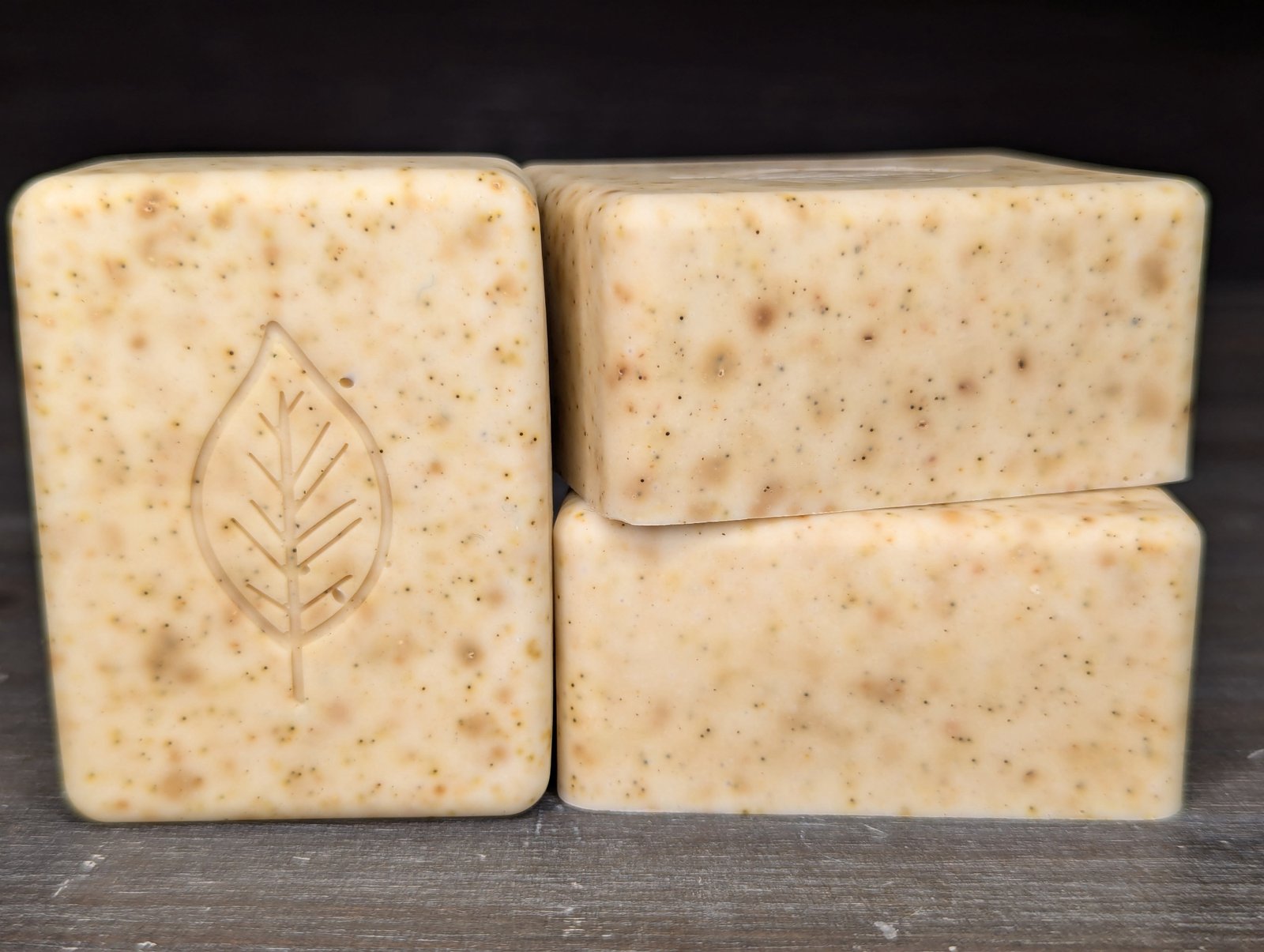 PXL_20240827_110226834 PXL_20240827_110226834