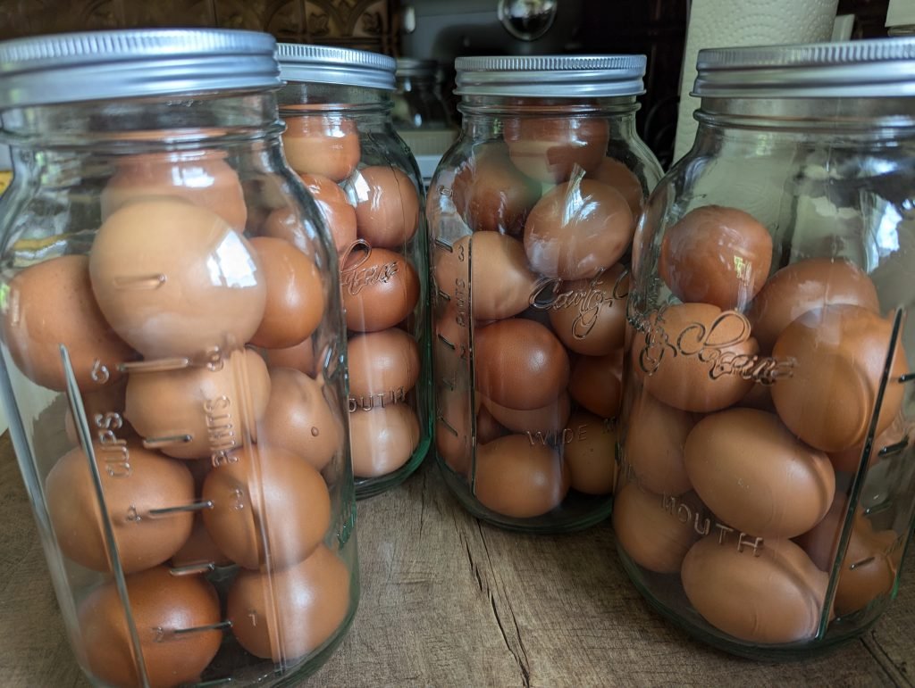 Water Glassed Eggs