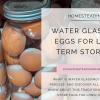 Water Glassing Eggs for Long-Term Storage
