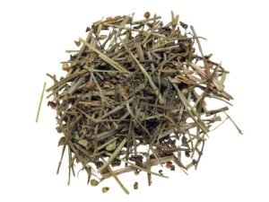 Chinese Skullcap