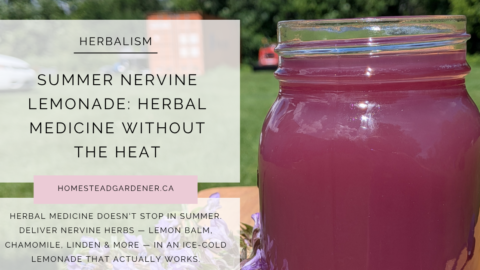 herbal lemonade for anxiety