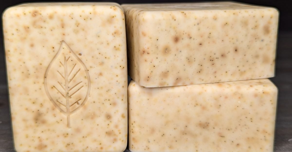 PXL_20240827_110226834