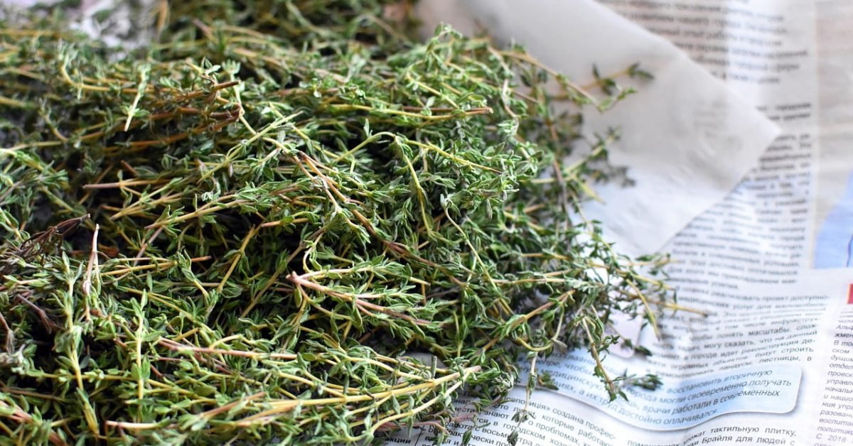 Thyme